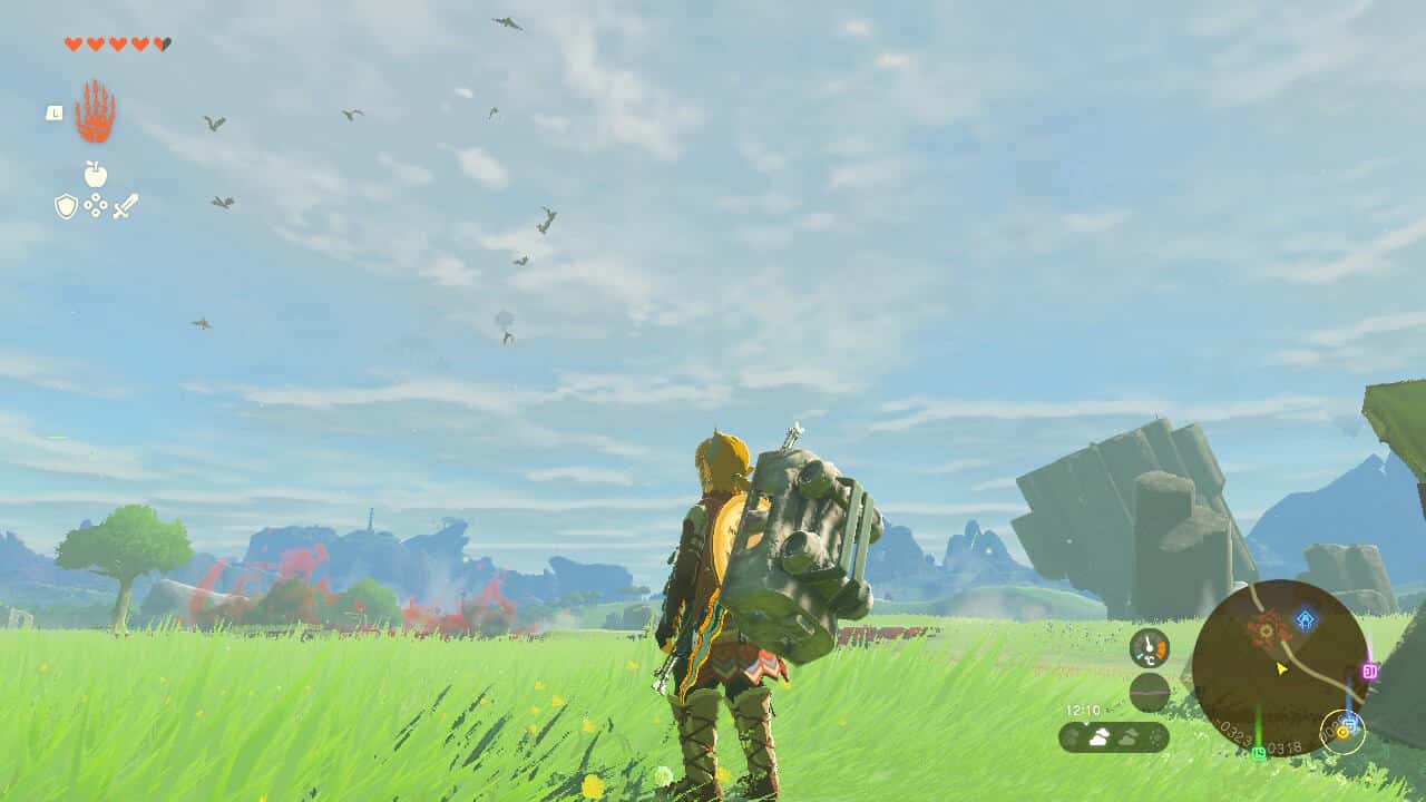 Tears of the Kingdom tips: Link watching a flock of birds above a chasm in a field.