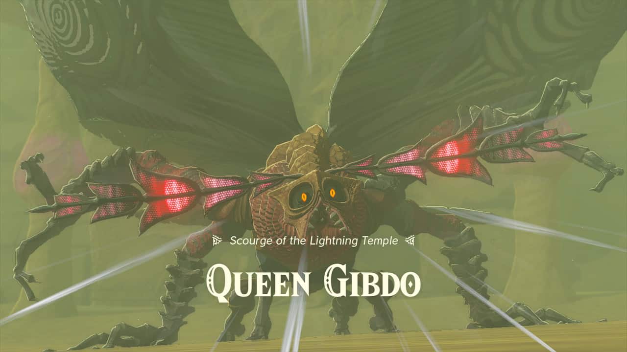 Tears of the Kingdom Lightning Temple walkthrough: Queen Gibdo standing in front of the Lightning Temple.