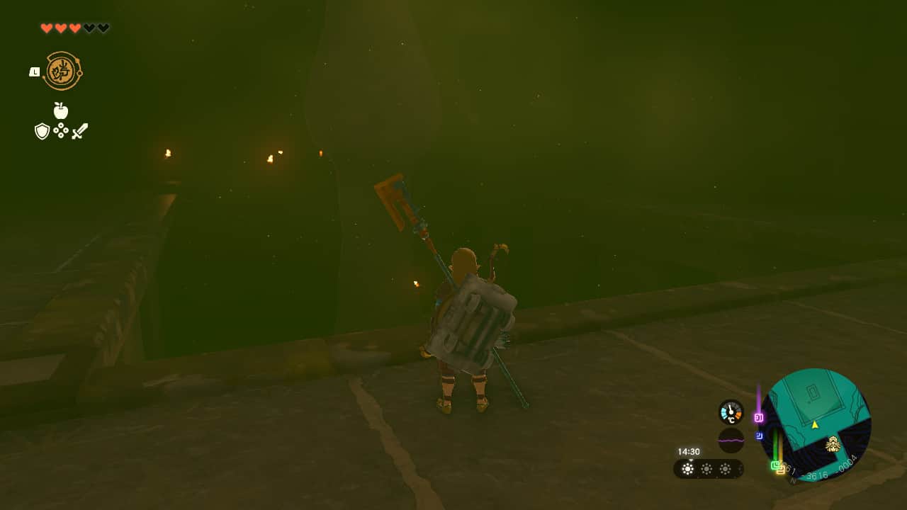 Tears of the Kingdom Lightning Temple walkthrough: Link standing next to a pit with a gibdo nest in it.