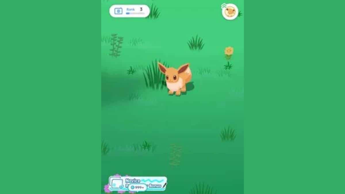 An image of an Eevee in a grassy field.