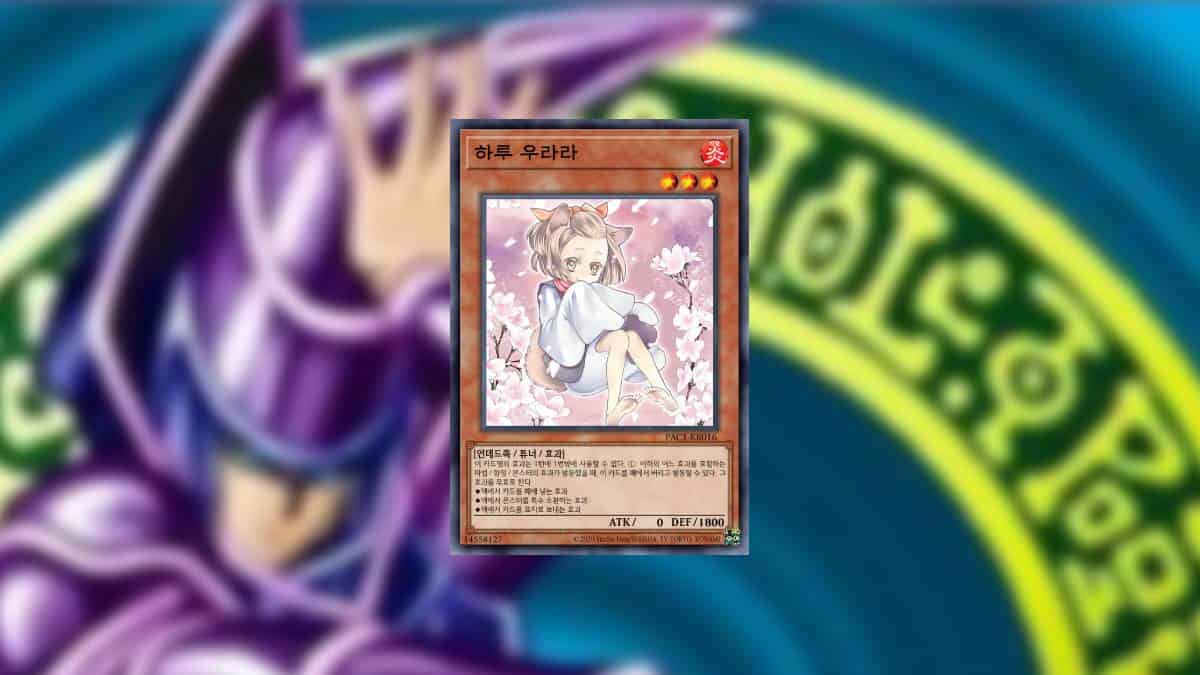 The 11 best Effect Monsters in Yu Gi Oh! (2024)